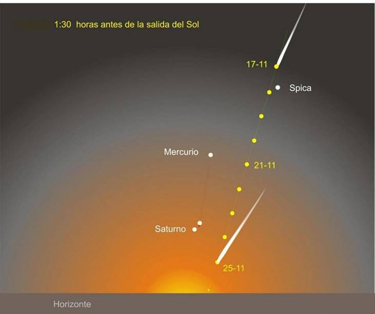 cometa ISON nov 2013.jpg